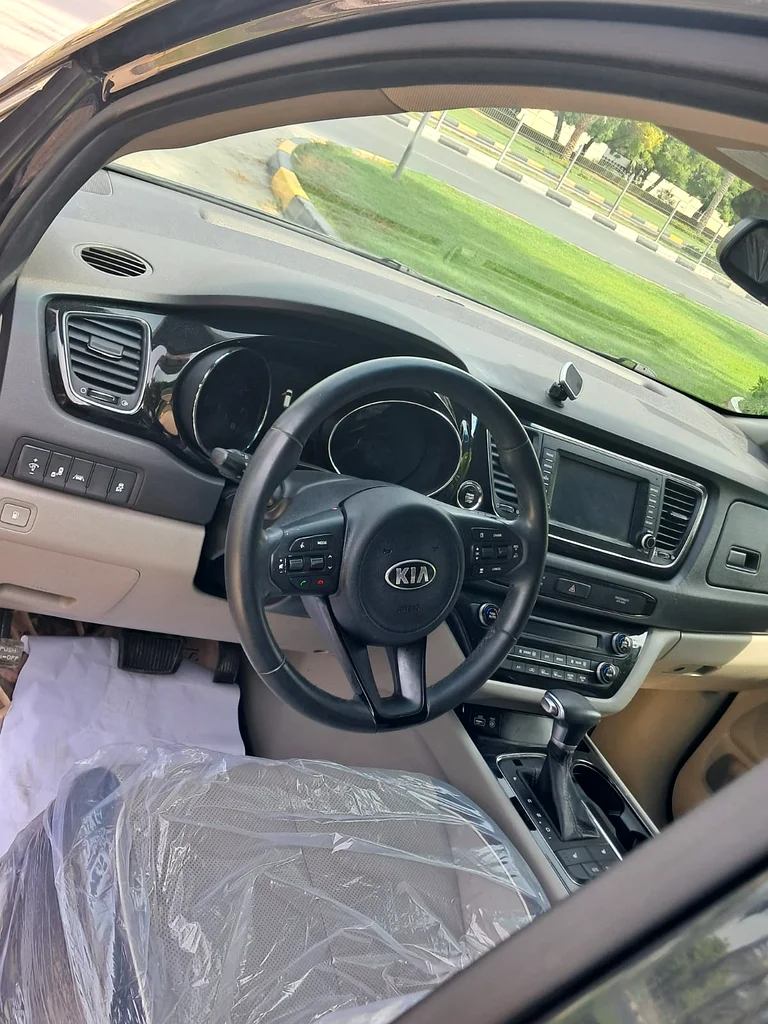 Kia Sedona 201763155552866179114