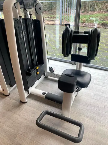 Technogym Rotary Torso Machine