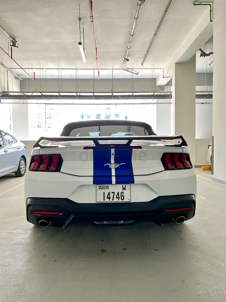 Ford Mustang EcoBoost 202463157444144258113