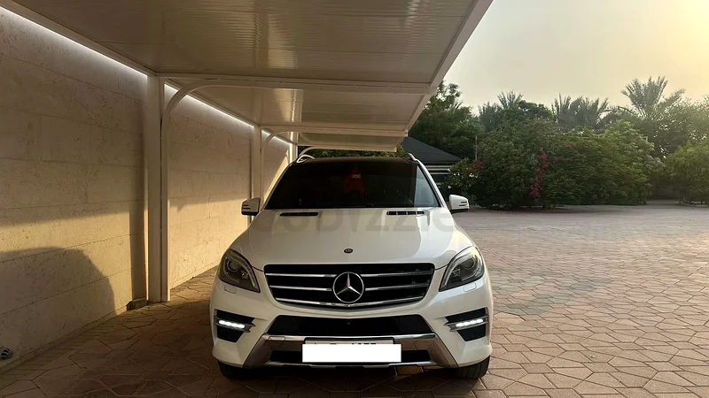Mercedes63160612437250114