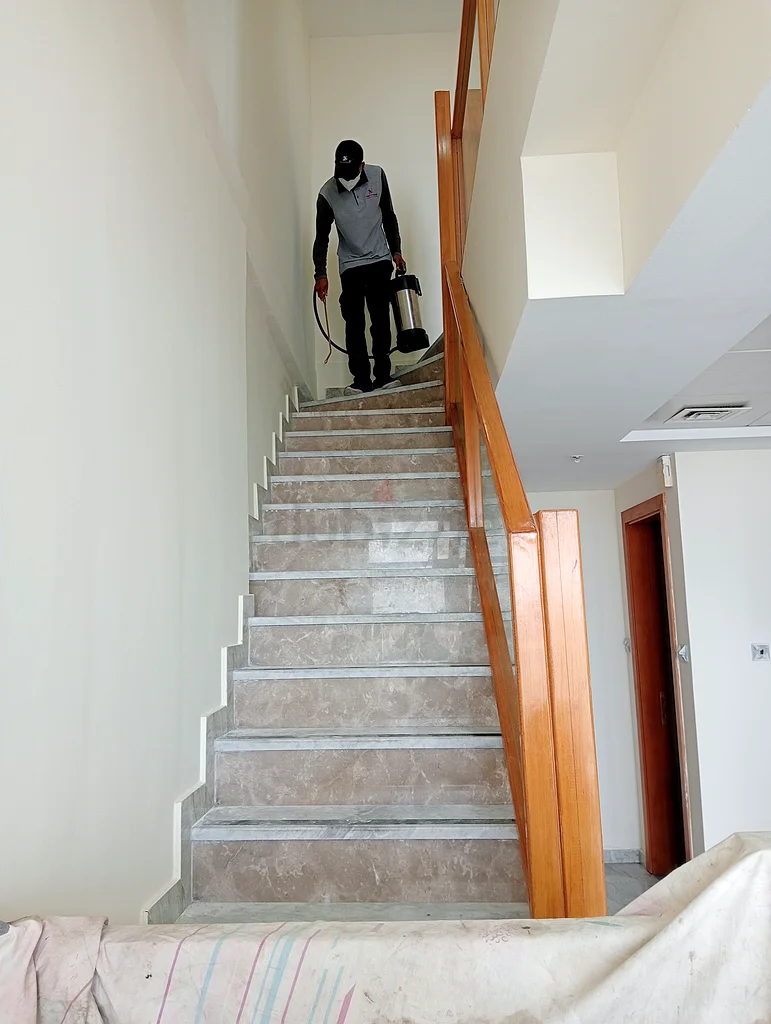 # Affordable Pest Control - 14+ Exp Dubai63219834679298112
