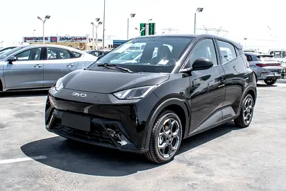 BYD Seagull / 405KM Flying Edition MSRP-858 / 2025