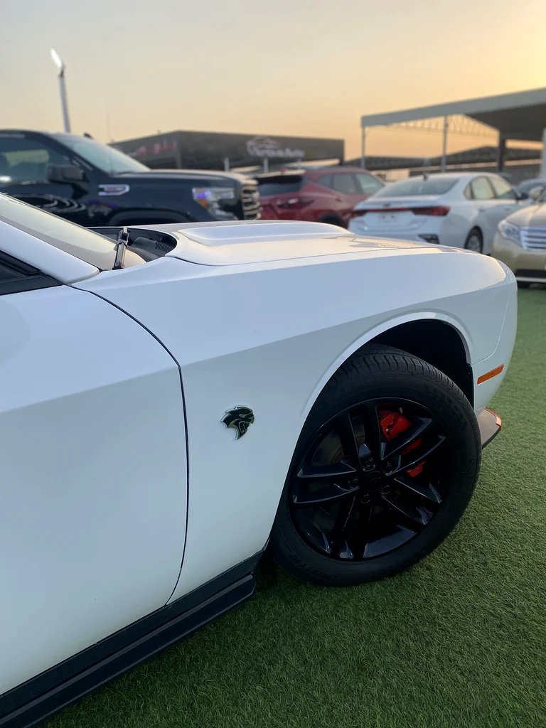 Ajman Al Jurf Car Market, Al Ehsan Motors Showroom63226744175617113
