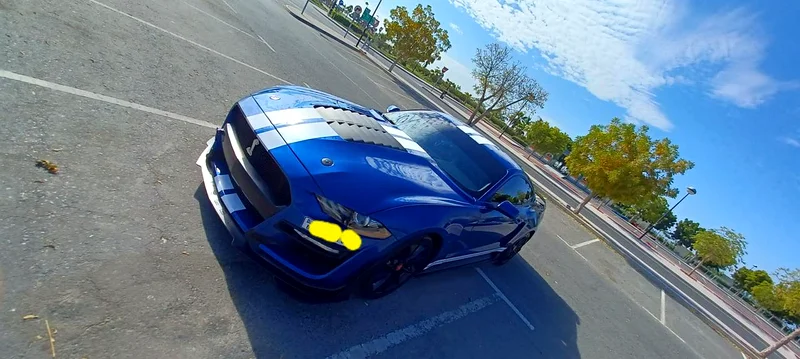 Ford Mustang 201763157444238082111