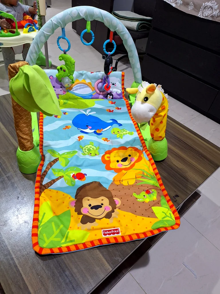 Play gym632301859809311122