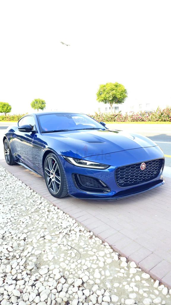 R-Dynamic أسود، حالة ممتازة، خيار متقدم63398481561987111