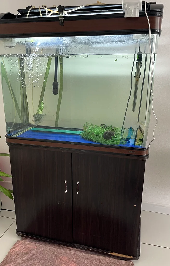 Aquarium with curved side and Cabinet632356011078431117