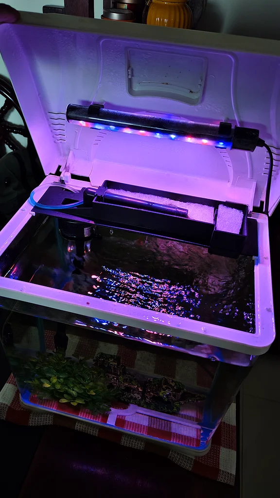 40L Aquarium Fish Tank with Accessories – AED 10063235601075971113