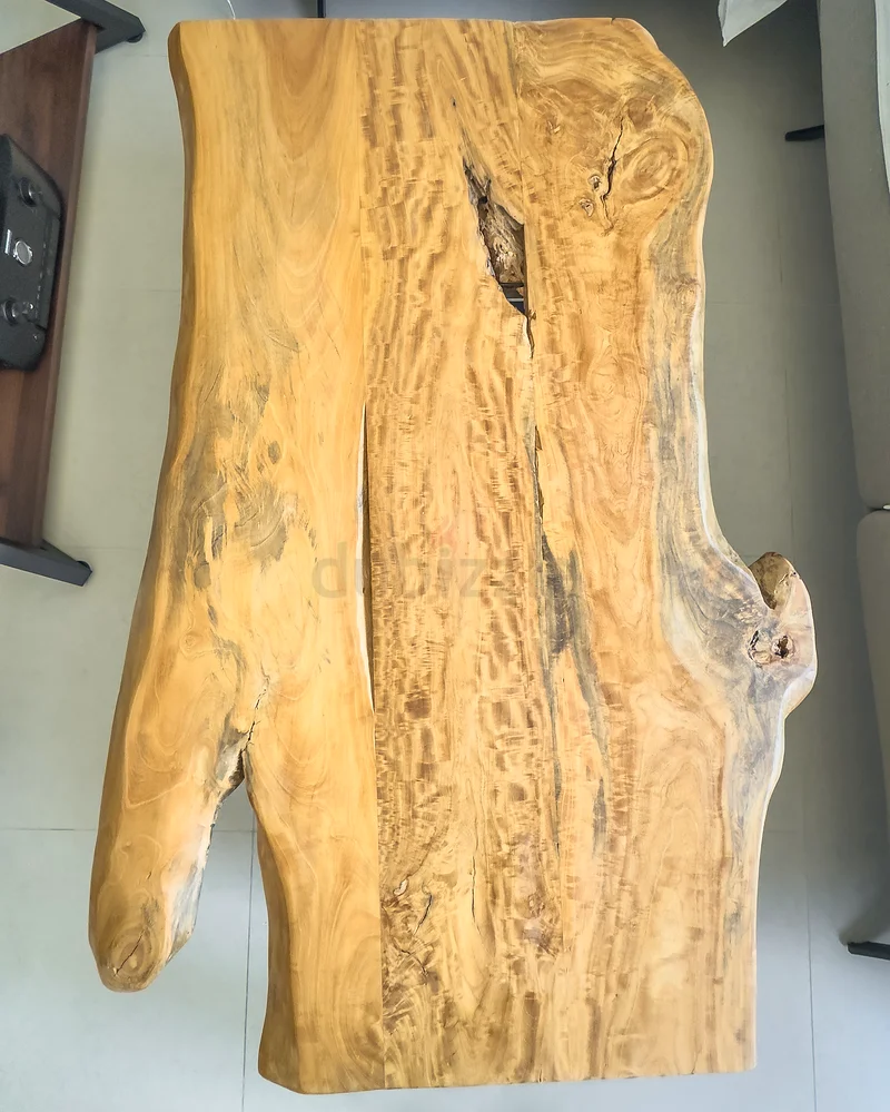 Living Edge Neem Wood Coffee Table63186761678338111
