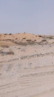 Industrial Plot for Sale – Umm Al Thoub, Umm Al Quwain