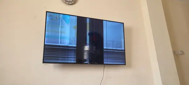 Hisense 65 Smart TV broken screen