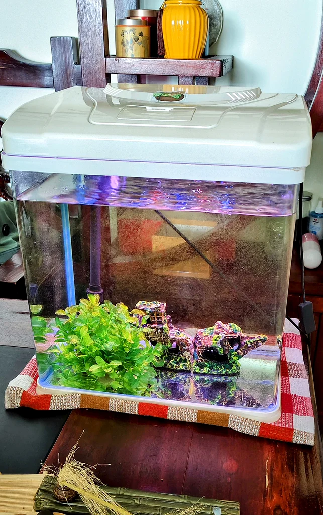 40L Aquarium Fish Tank with Accessories – AED 100632356010759711128