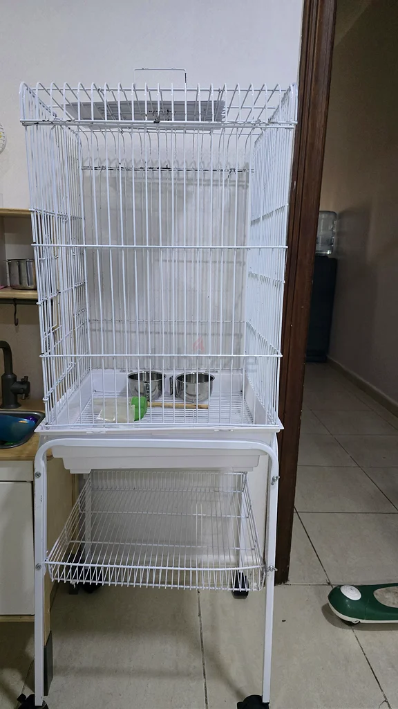parrot cage for sale قفص ببغاء للبيع632321618361611121