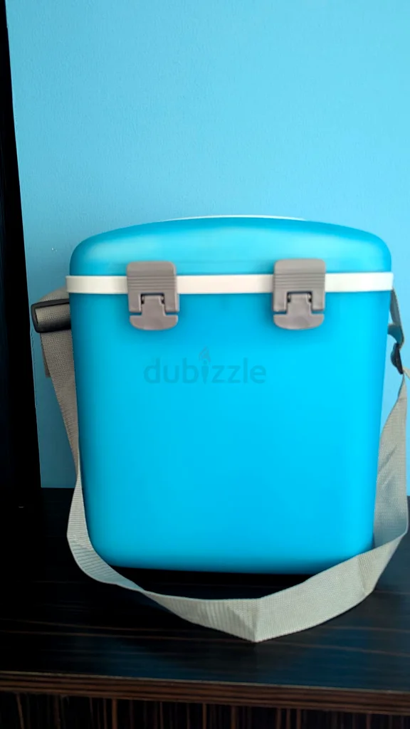 Chill Out with This Stylish Cool Box!632529407425291112