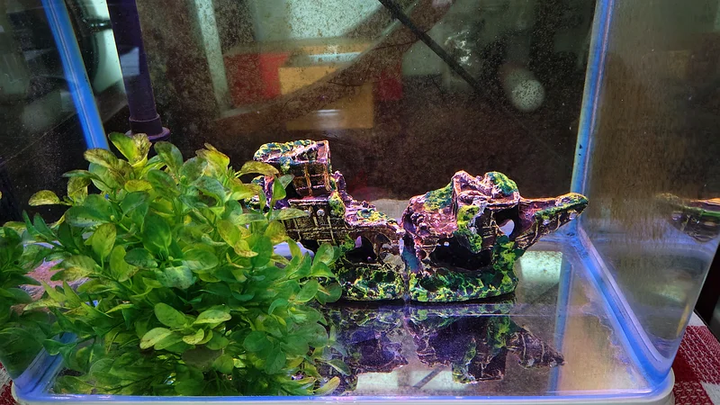40L Aquarium Fish Tank with Accessories – AED 10063235601075971112
