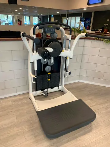 Technogym Standing Abdominal Machine