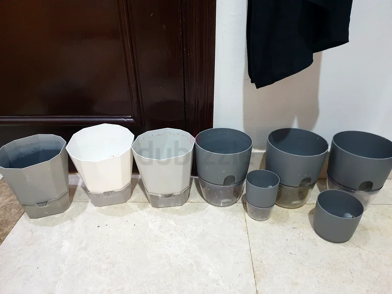 تنوع الزراعة63219816542465111
