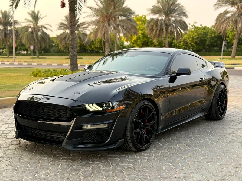 For sale, 2019 GT V8 Mustang, imported, very clean, no expenses needed.63399891092483113