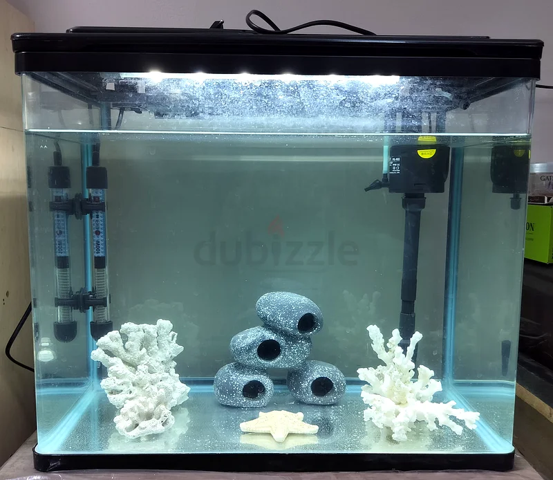 Aquarium (20x12x16) with Coral Decoration Set63205367242755113