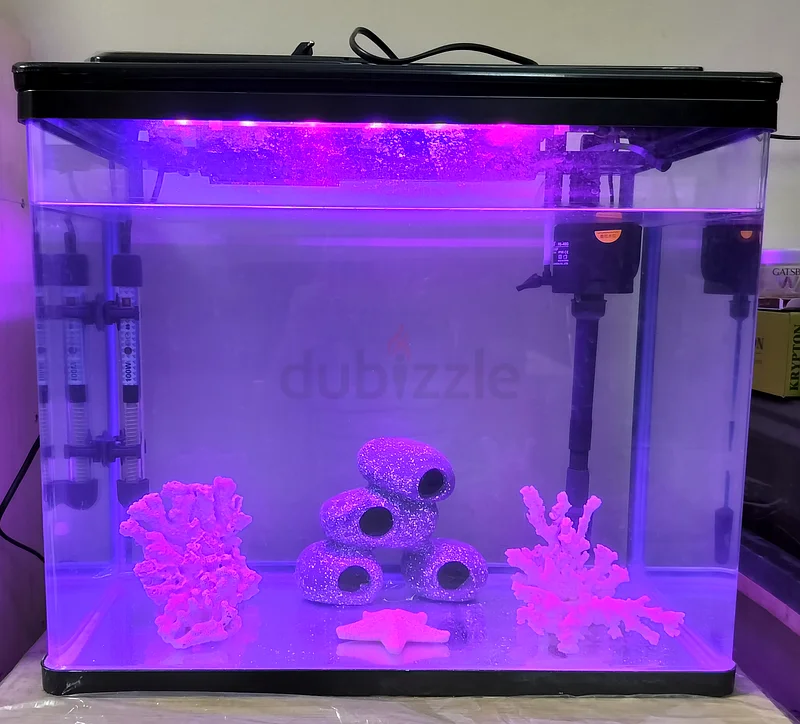 Aquarium (20x12x16) with Coral Decoration Set63205367242755114