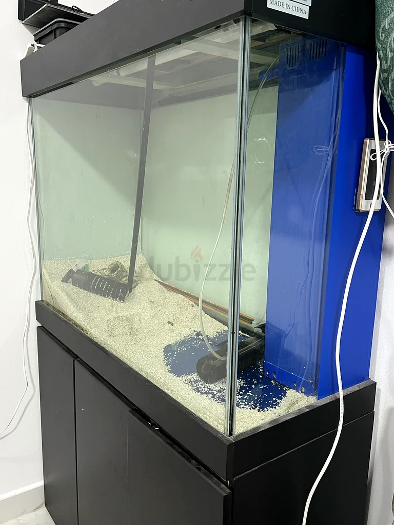Aquarium63205367229057111