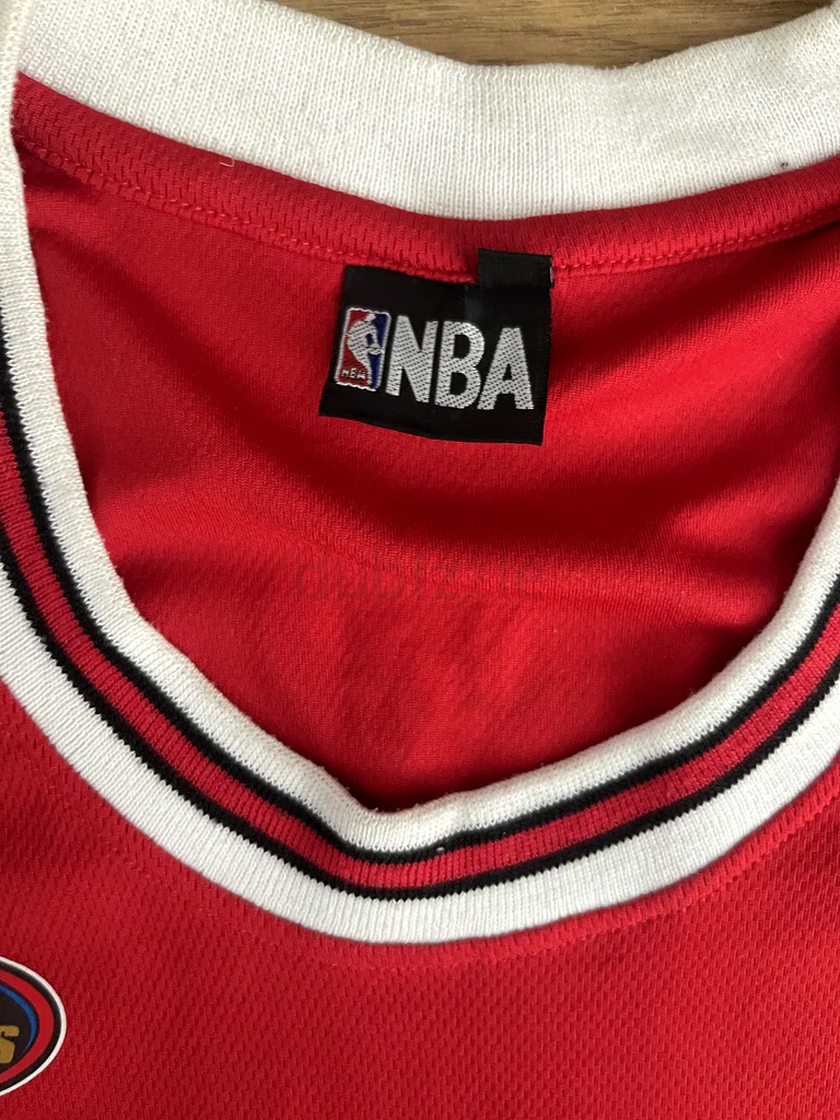 Iconic Jordan Jersey - Limited Edition 2363240124396034114