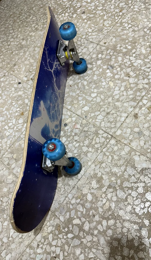 Skate Board63198631900291111