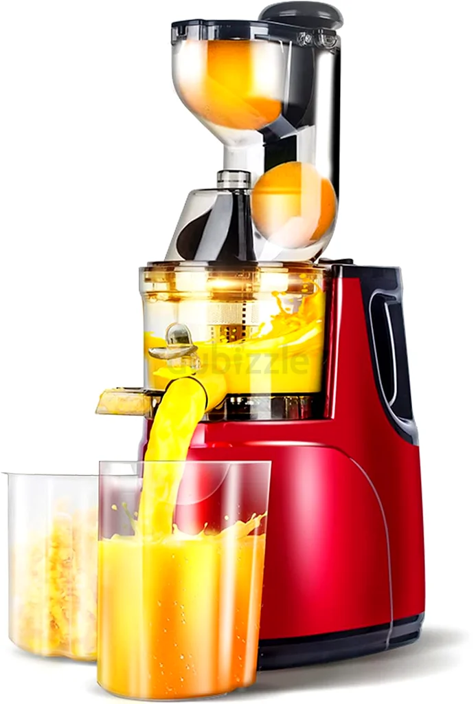 300W Slow Masticating Juice63201169823873112