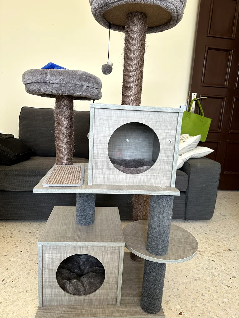 Cat accesories63205365558017112