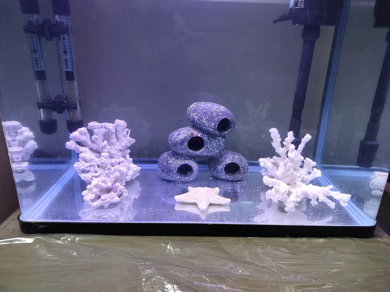 Aquarium (20x12x16) with Coral Decoration Set63205367242755111