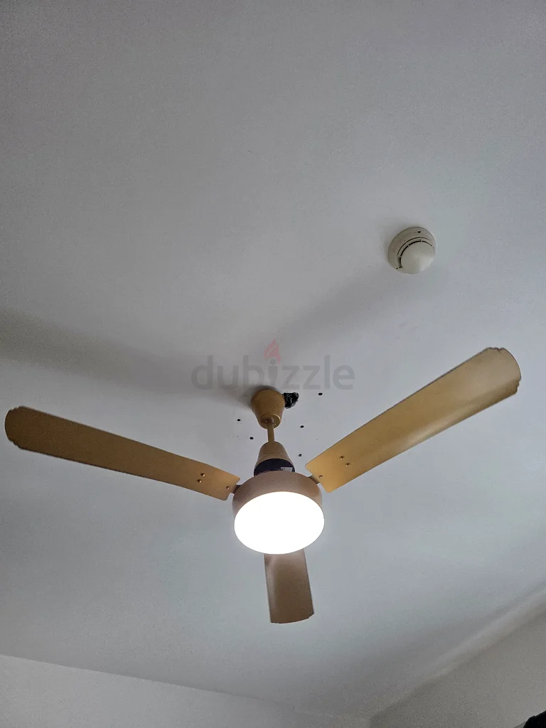 مروحة السقف632208274588181122