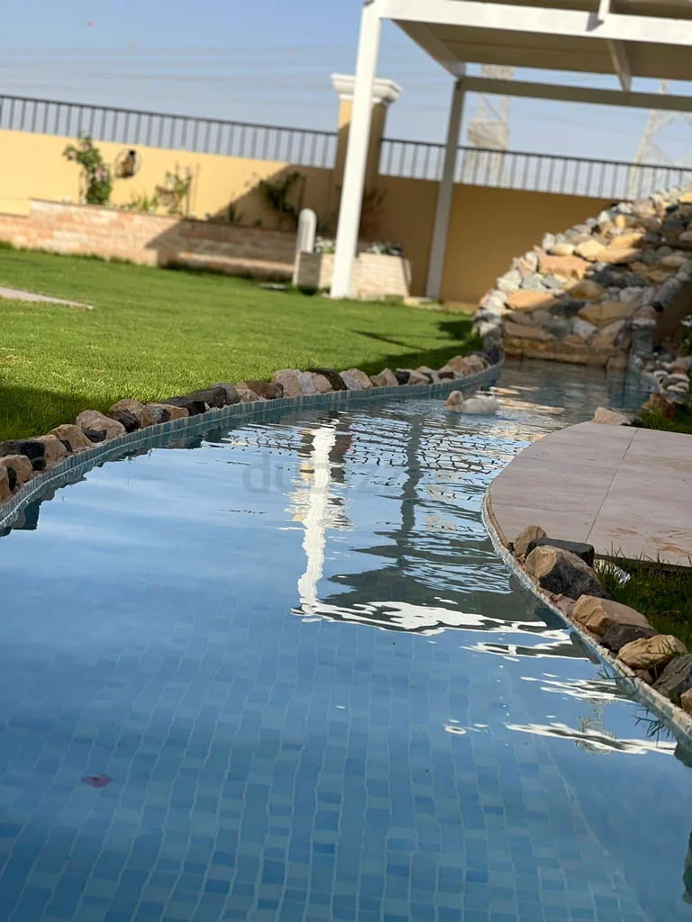 Garden renovation63186275049217112
