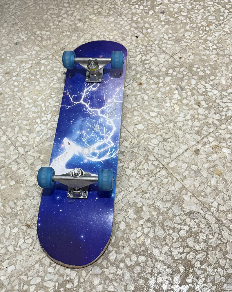 Skate Board63198631900291112