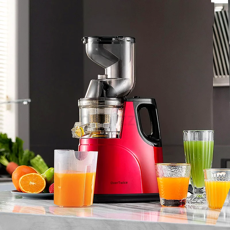 300W Slow Masticating Juice63201169823873111