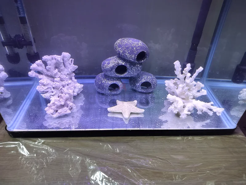 Aquarium (20x12x16) with Coral Decoration Set63205367242755112