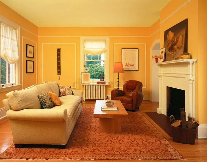 Professional Painting Services | interior and Exterior – 45 days Money-Back Guarantee!63216842848513113