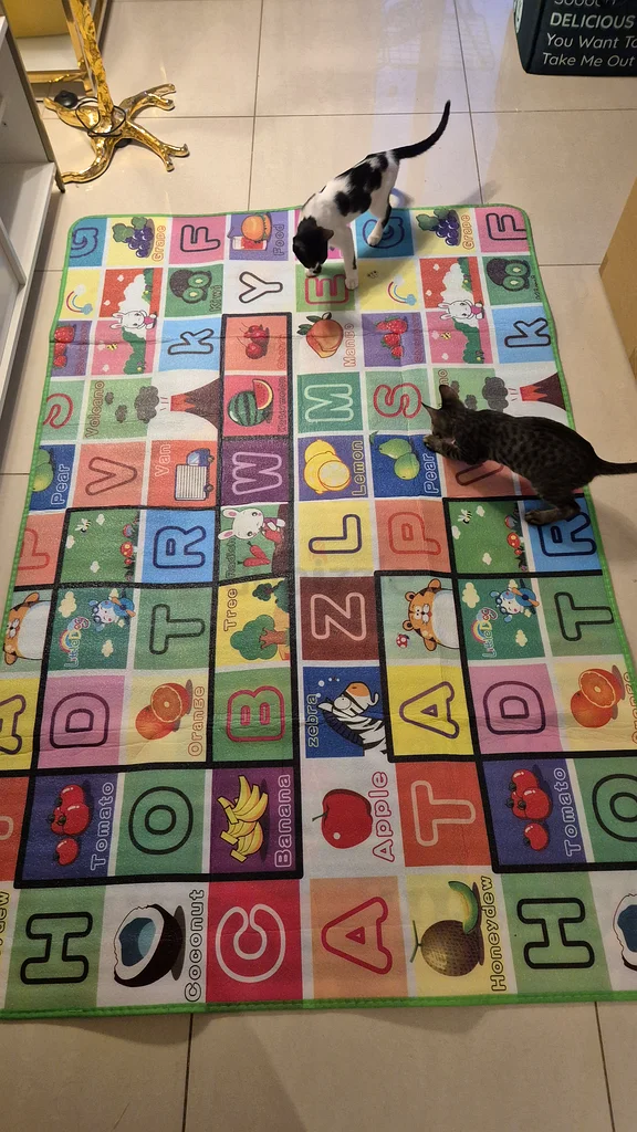 Playmat63226781401218112