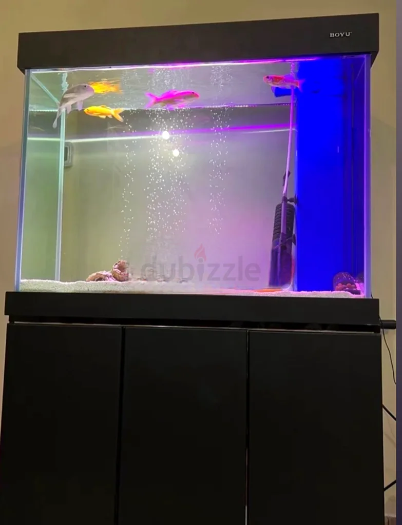 Aquarium63205367229057112
