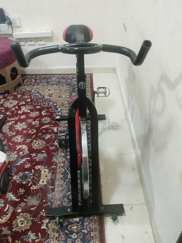 Transform Your Fitness Routine with This Stylish Stationary Bike!63198150452993111