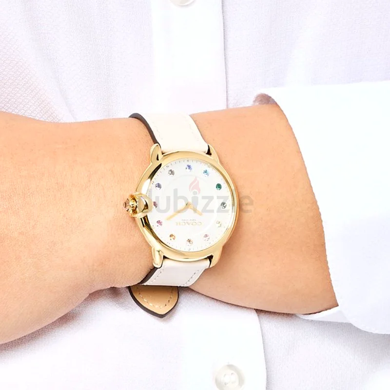 Coach watch 36mm63202199497602113