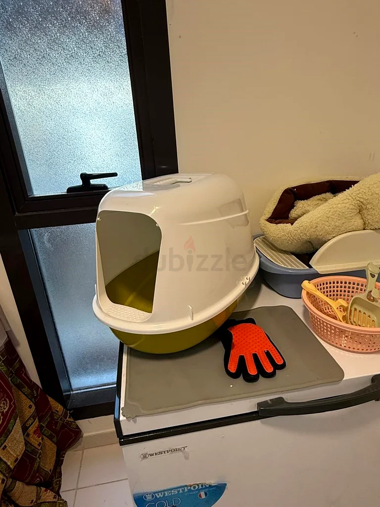 إكسسوار للقطط63204294455171111