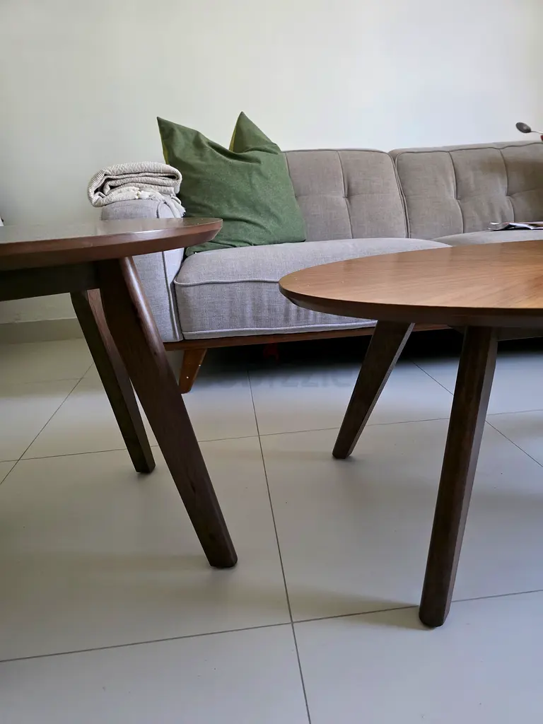 Stylish Coffee and Side Table