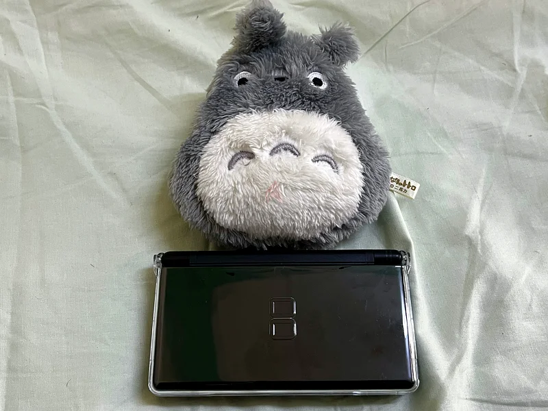 Nintendo DS Lite63205893528833111