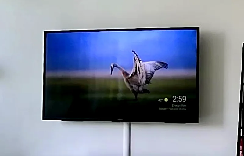 Selling fast Sony 55-inch Smart LED TV for Sale63198146152961111
