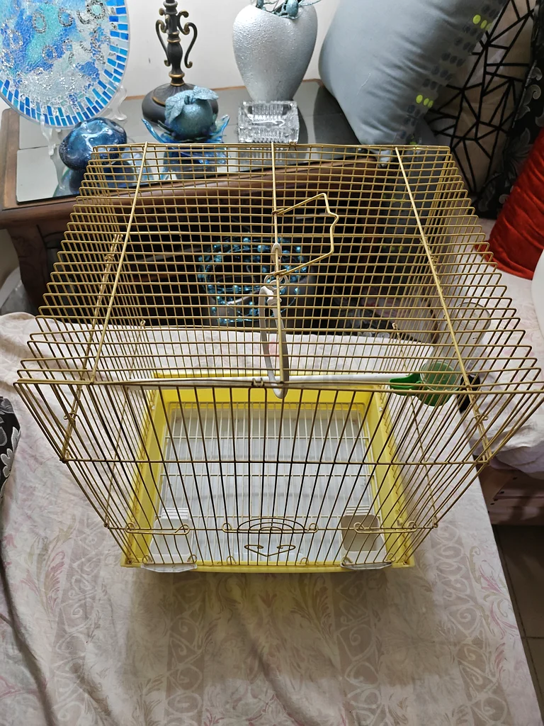 Bird cage63204293604226111