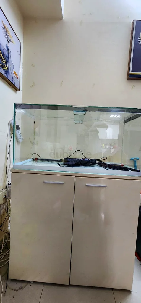 90x40x45cm Aquarium for Urgent Sale63205893632898111