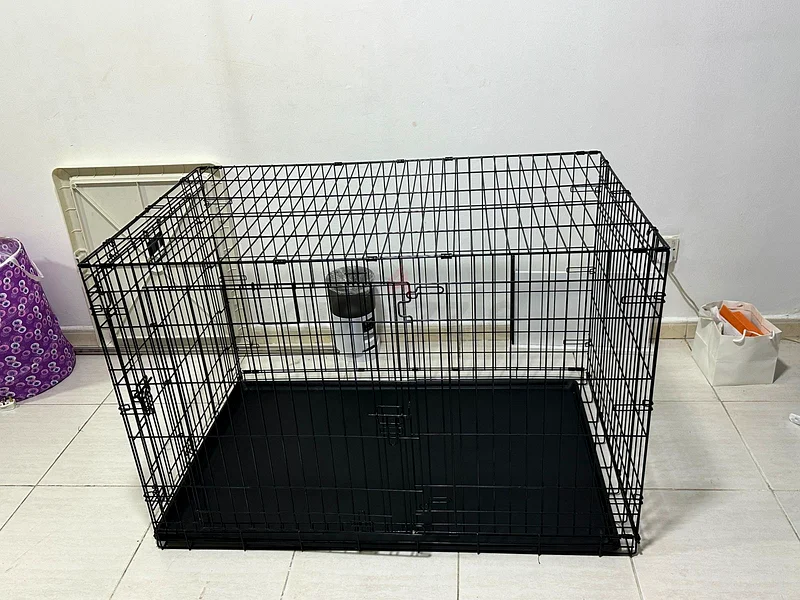 Dog Crate63205365441921114