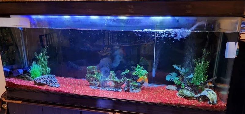 1.8 meter Stunning Aquarium for Sale - Perfect for Your Fishes!63205367297411111
