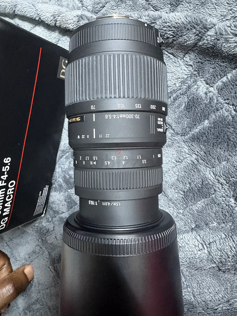 Sigma 70-300mm f/4-5.6 DC Macro Lens - Perfect for Wildlife Photography!63203187635586111