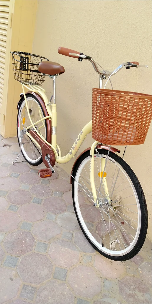 Cruiser bicycle Brand new high quality strong bike free delivery assembled63198632357506111